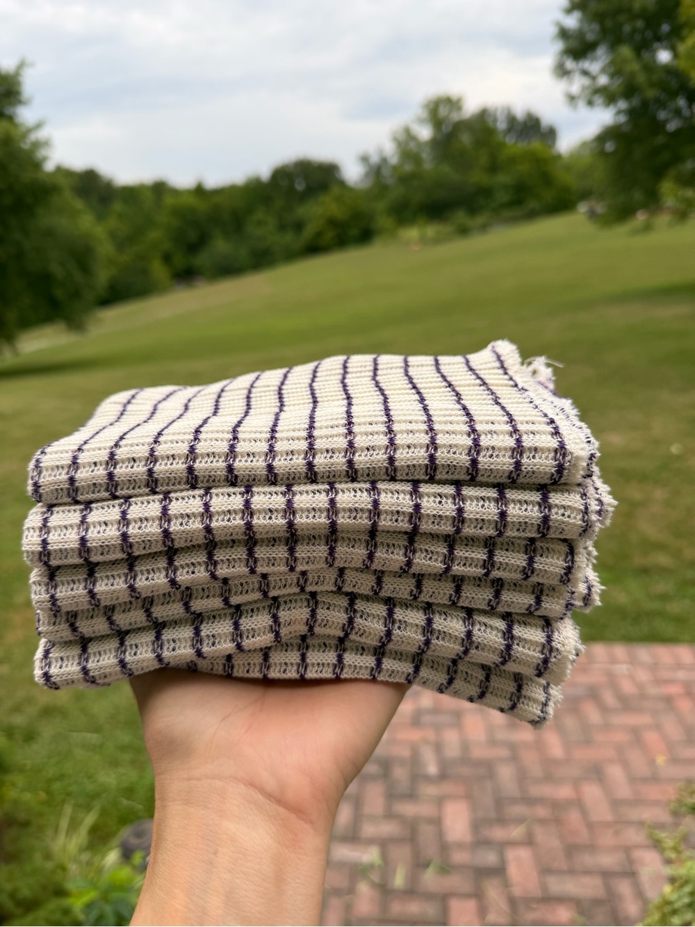 Amish Store Dishcloths World’s Best Dishcloths!
